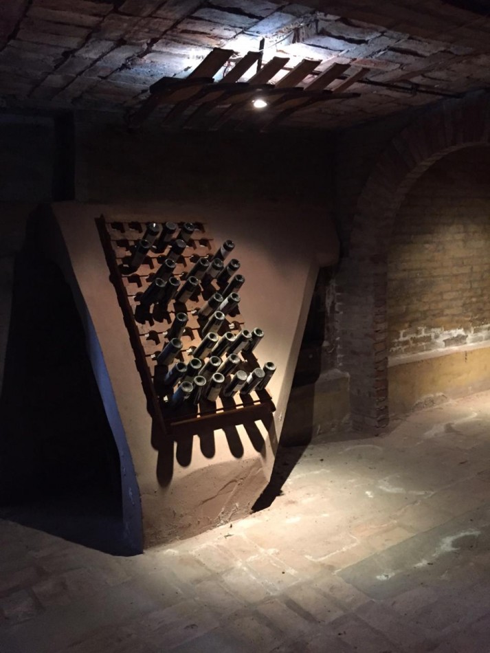 Viñedo 294hra mas Bodega 94hra