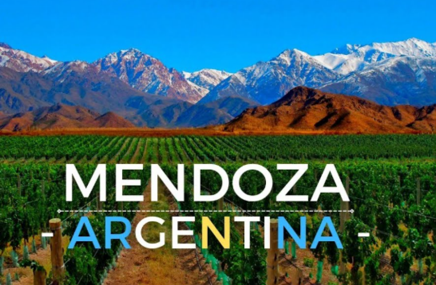 Viñedo 294hra mas Bodega 94hra