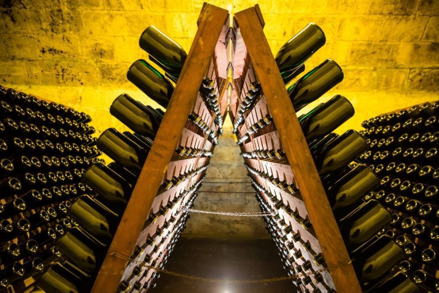 Viñedo 294hra mas Bodega 94hra