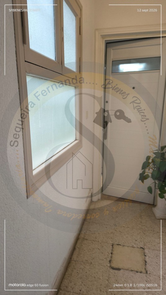 HERMOSO PH DE 3 AMBIENTES RECICLADO CON SOTANO Y DOBLE PATIO 