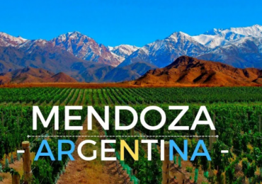 Viñedo 294hra mas Bodega 94hra